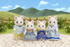 Familia Gatos de Seda small image number 2