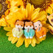 Familia H&aacute;mster small image number 7