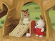 Casa de Aventuras en el Árbol small image number 9
