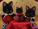 Familia Gato Medianoche small image number 2